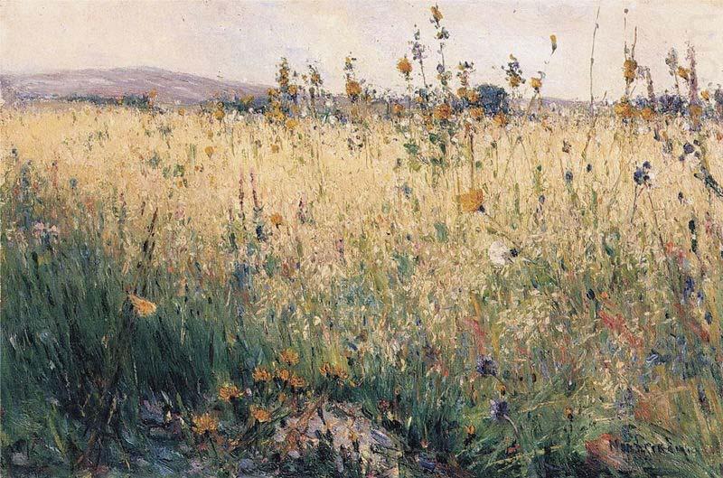 Oat Field, Karl Nordstrom